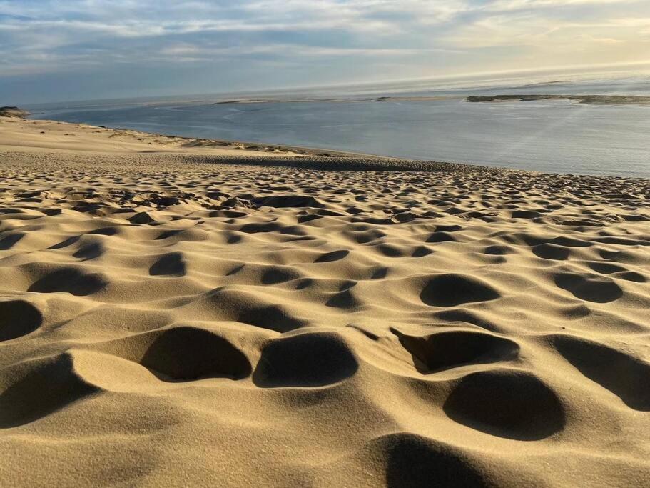 Villa Arcachon 12 Pers Avec Piscine Chauffee 1 Mai Au 30 Sept מראה חיצוני תמונה