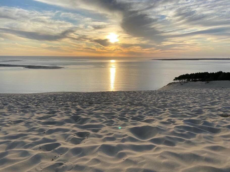 Villa Arcachon 12 Pers Avec Piscine Chauffee 1 Mai Au 30 Sept מראה חיצוני תמונה